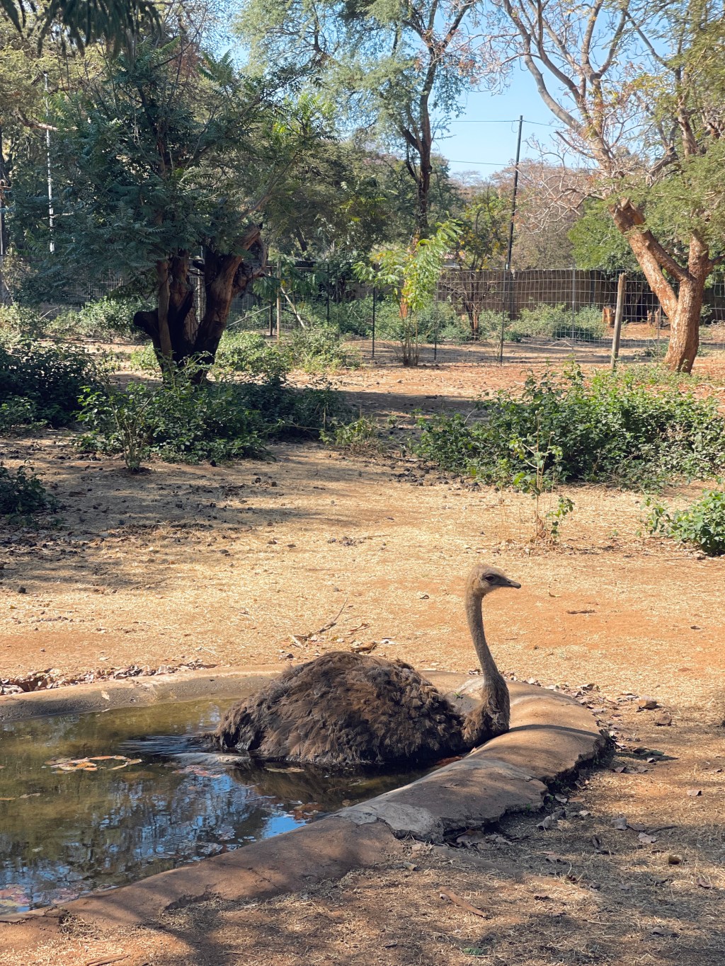 Exploring the Remnants of Munda&nbsp;Wanga