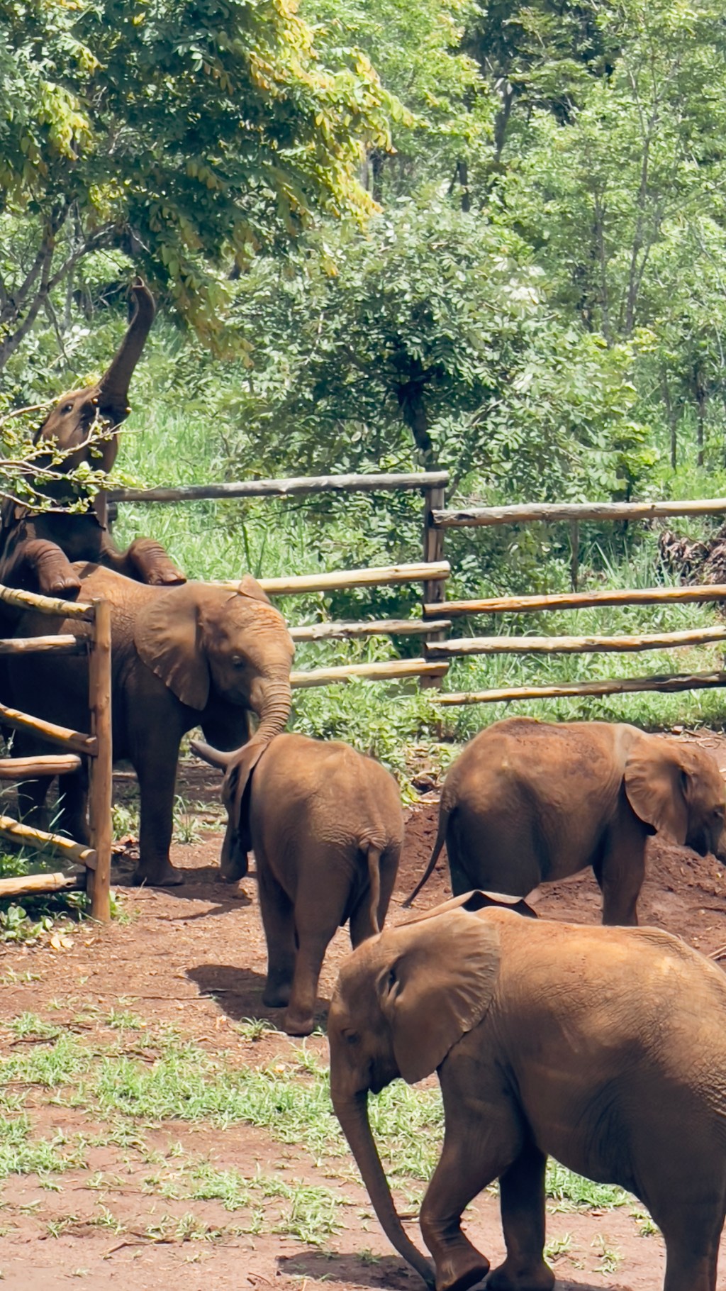 Learning, Healing and Preserving at Lusaka’s Conservation&nbsp;Hub