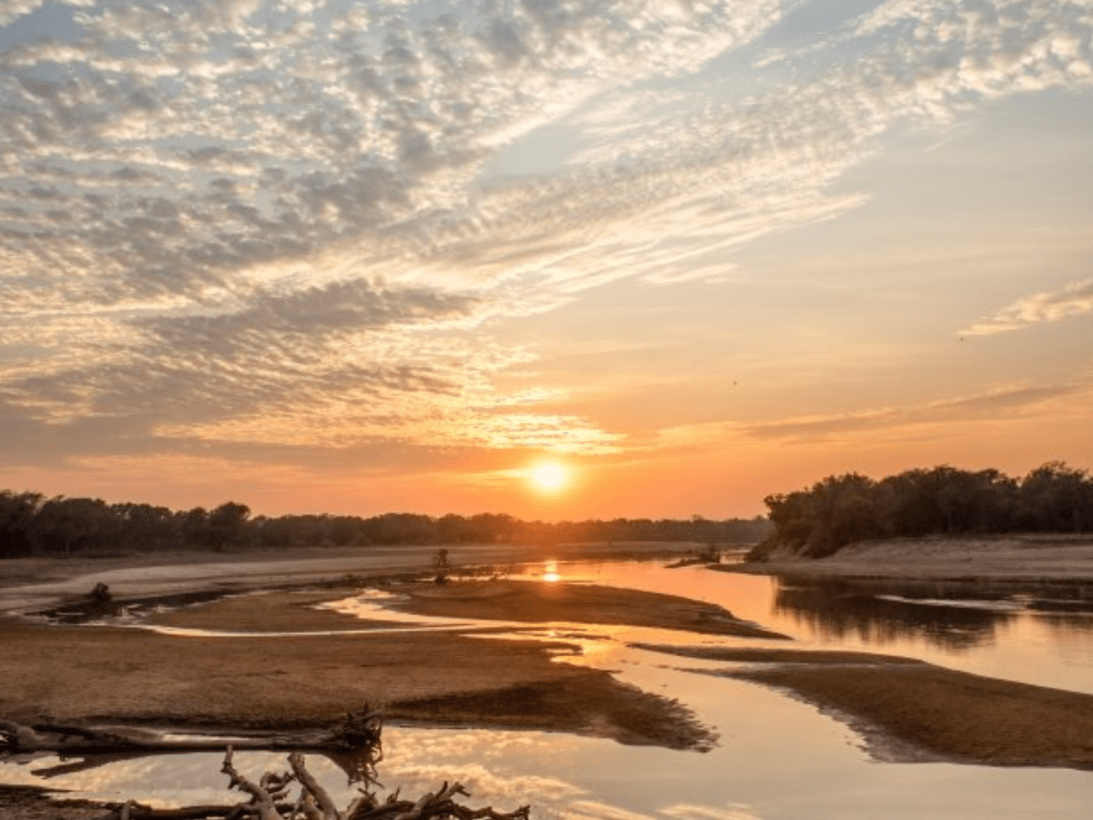 Amatololo – Back Into the&nbsp;Wilderness