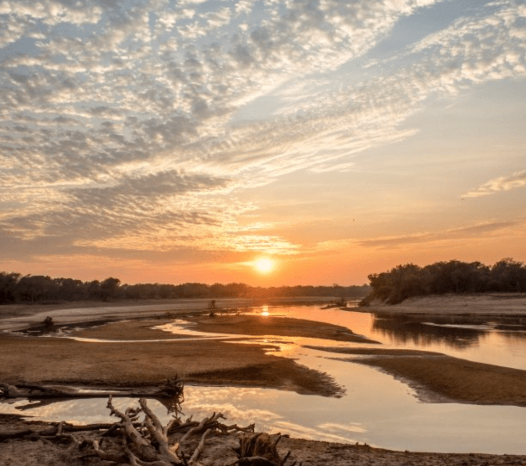 Amatololo – Back Into the&nbsp;Wilderness