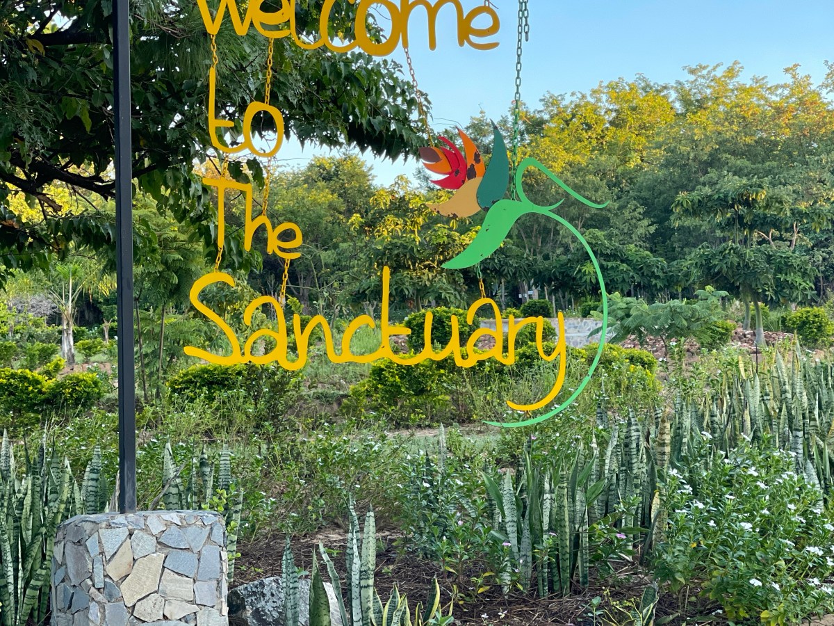 Unplug and Rejuvenate: A Retreat Experience at Sissing&nbsp;Sanctuary