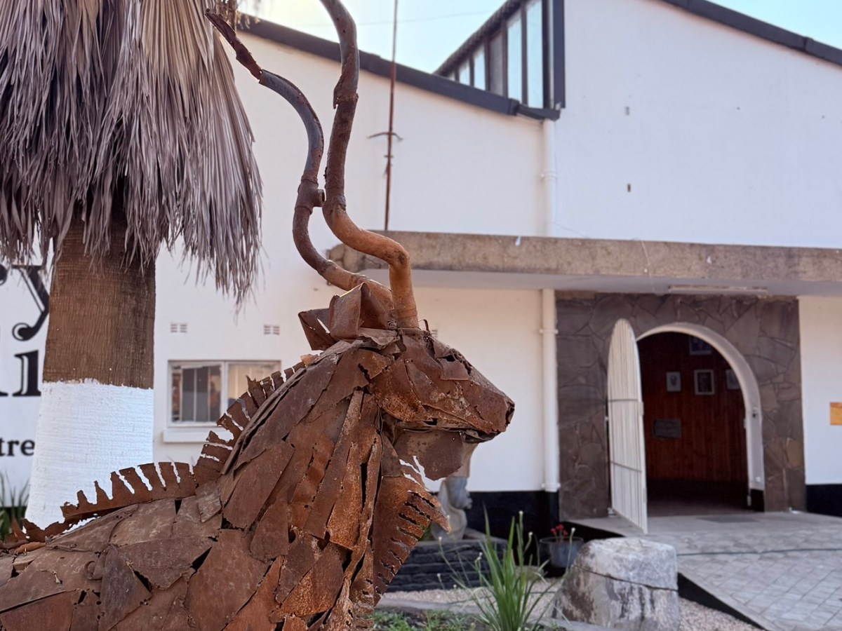The Enduring Spirit of Zambia’s Visual Arts&nbsp;Council